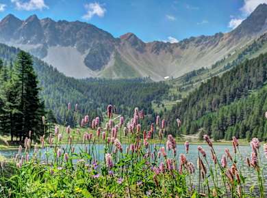 Parc naturel régional du Queyras