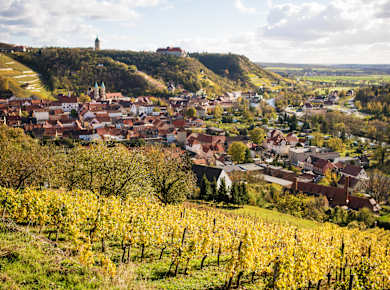 Freyburg (Unstrut), Freyburg