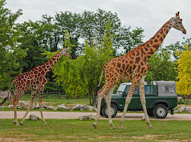 Lazise, Parco Natura Viva