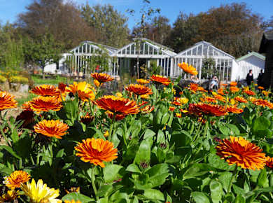 Göteborg, Trädgårdsföreningen