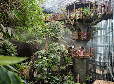 Göteborg, Universeum