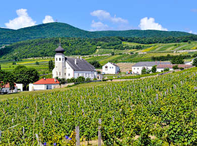 Gumpoldskirchen, Freigut Thallern