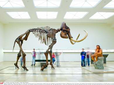 Halle, Landesmuseum für Vorgeschichte