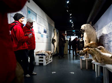 Hammerfest, Eisbärenclub