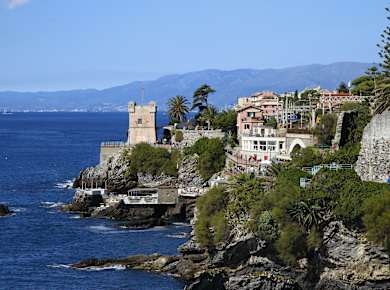 Nervi