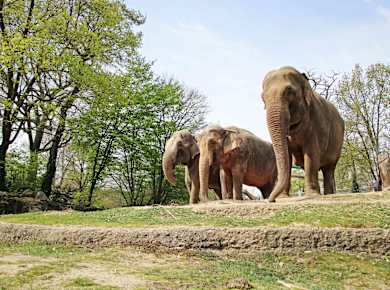 Zoologischer Stadtgarten Karlsruhe