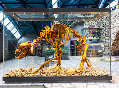 Jaskinia Niedźwiedzia