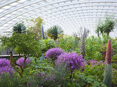 Llanarthne, National Botanic Garden of Wales