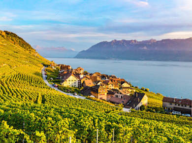 Lutry, Lavaux