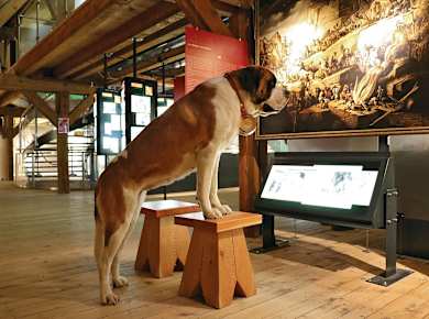 Martigny, Barryland-Bernhardiner-Museum