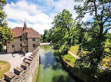 Meisterschwanden, Hallwilersee
