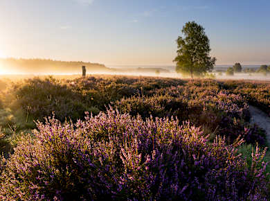 Müden (Örtze), Wietzer Berg