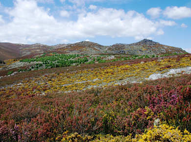 Parque Natural de Montesinho