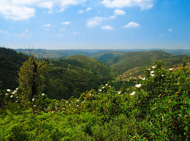 Monchique, Serra de Monchique