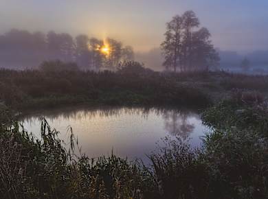 Izabelin, Kampinos Nationalpark