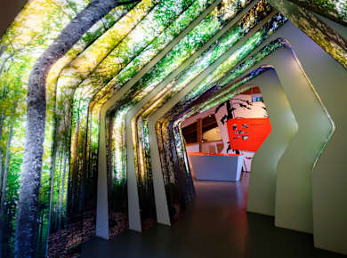 Neuschönau, Hans-Eisenmann-Haus