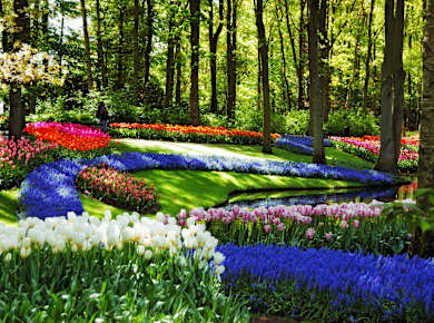 Keukenhof