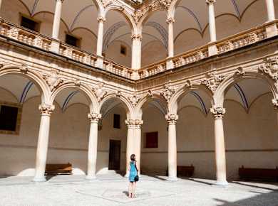 Orihuela, Colegio de Santo Domingo