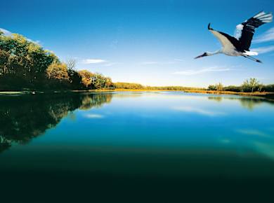 Donau-Auen