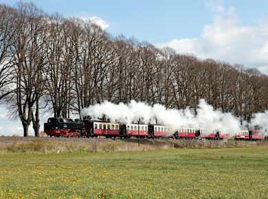 Bad Doberan, Molli-Bahn