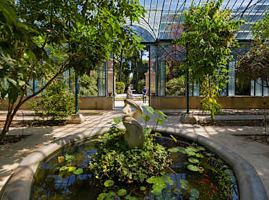 Palermo, Orto Botanico