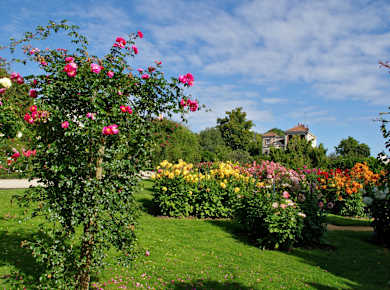 Rennes, Jardin du Thabor