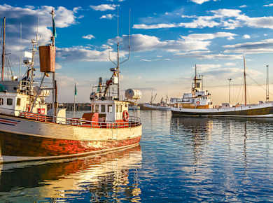 Reykjavík, Alter Hafen