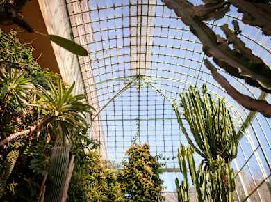 Rom, Botanischer Garten