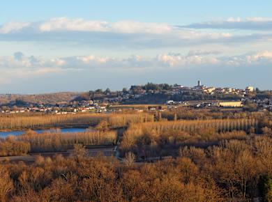 San Daniele del Friuli