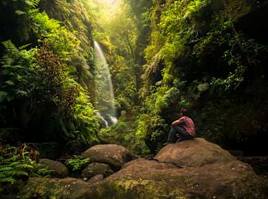San Andrés, Los Tilos