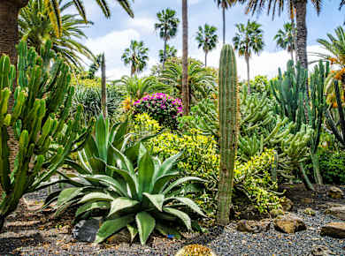 Santa Cruz de Tenerife, Parque García Sanabria