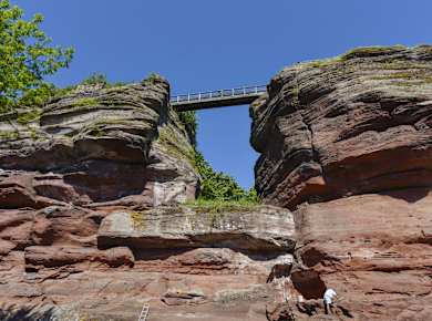Château du Haut-Barr