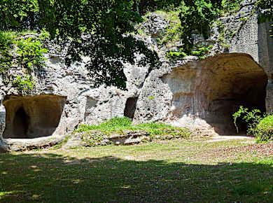 Scharzfeld, Burgruine Scharzfeld