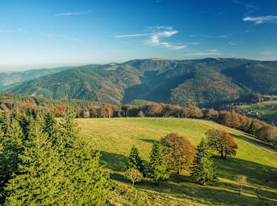 Oberried Hofsgrund, Schauinsland