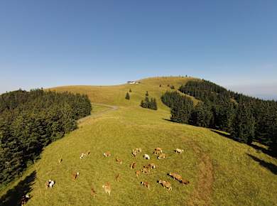Schönau im Schwarzwald, Belchen