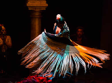 Museo del Baile Flamenco