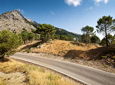 El Bosque, Sierra de Grazalema