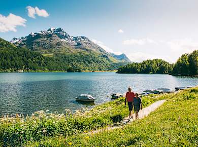 Sils im Engadin, Halbinsel Chastè