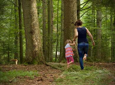 Spiegelau, Waldspielgelände