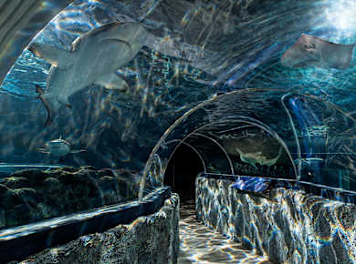 Westerland/Sylt, Sylt Aquarium