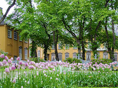 Trondheim, Stiftsgården