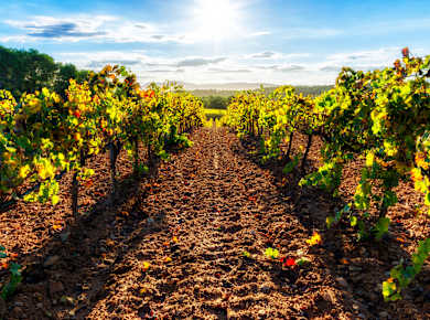 Vilafranca del Penedès