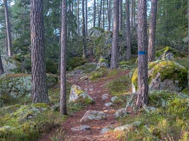 Nationalpark Norra Kvill