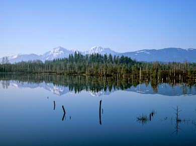 Waging am See, Schönramer Filz