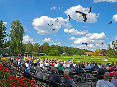 Walsrode, Weltvogelpark Walsrode