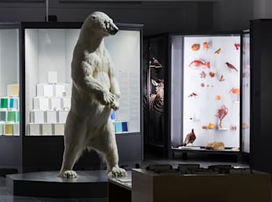 Wiesbaden, Museum Wiesbaden