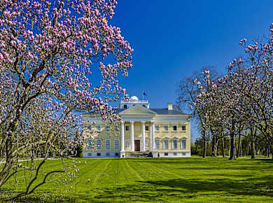 Wörlitz, Schloss Wörlitz