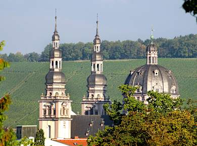 Würzburg, Stift Haug