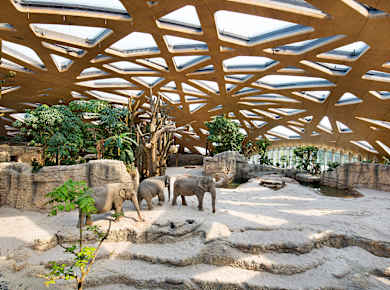 Zürich, Zoo Zürich