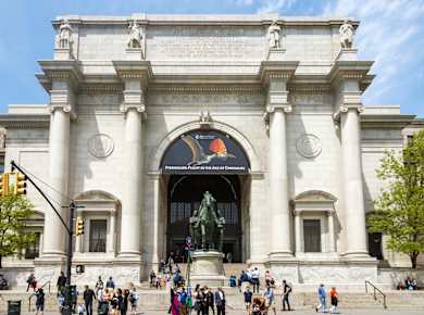 New York, American Museum of Natural History
